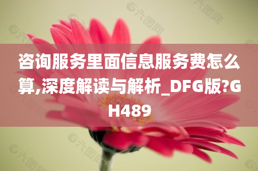 咨询服务里面信息服务费怎么算,深度解读与解析_DFG版?GH489