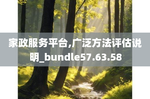 家政服务平台,广泛方法评估说明_bundle57.63.58