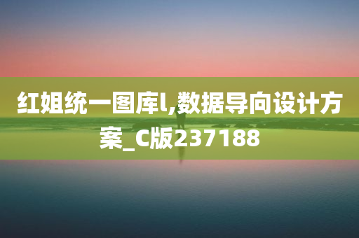 红姐统一图库l,数据导向设计方案_C版237188