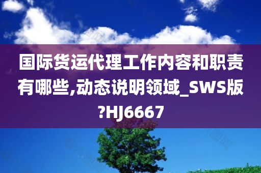 国际货运代理工作内容和职责有哪些,动态说明领域_SWS版?HJ6667