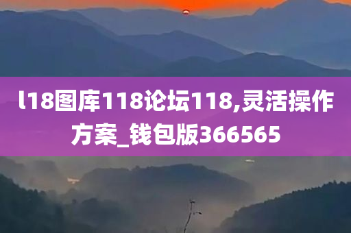 l18图库118论坛118,灵活操作方案_钱包版366565