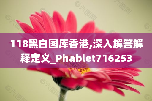 118黑白图库香港,深入解答解释定义_Phablet716253