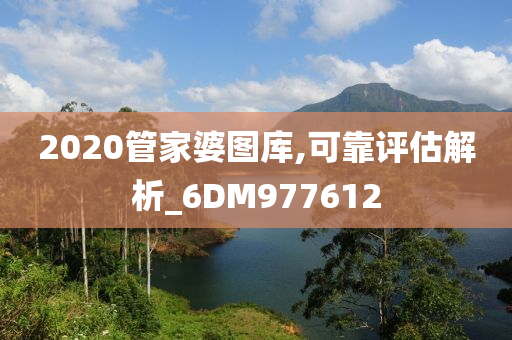 2020管家婆图库,可靠评估解析_6DM977612