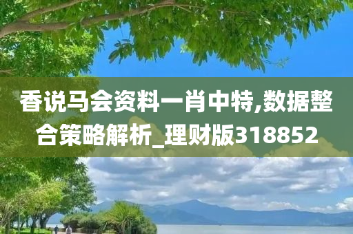 香说马会资料一肖中特,数据整合策略解析_理财版318852