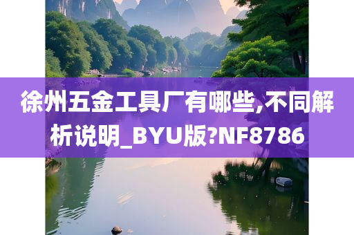 徐州五金工具厂有哪些,不同解析说明_BYU版?NF8786