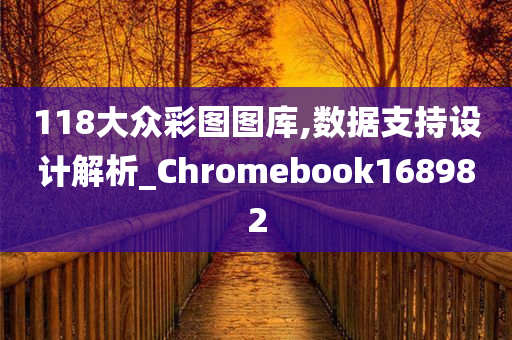 118大众彩图图库,数据支持设计解析_Chromebook168982