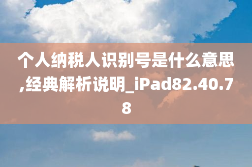 个人纳税人识别号是什么意思,经典解析说明_iPad82.40.78