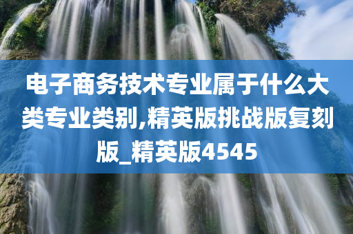 电子商务技术专业属于什么大类专业类别,精英版挑战版复刻版_精英版4545