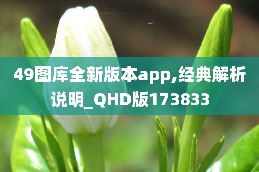 49图库全新版本app,经典解析说明_QHD版173833