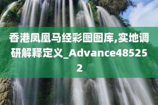 香港凤凰马经彩图图库,实地调研解释定义_Advance485252