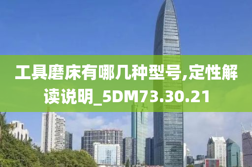 工具磨床有哪几种型号,定性解读说明_5DM73.30.21