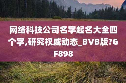 网络科技公司名字起名大全四个字,研究权威动态_BVB版?GF898