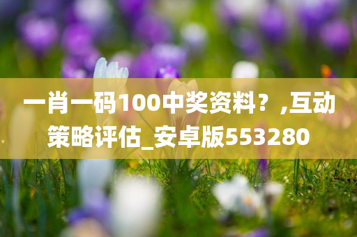 一肖一码100中奖资料？,互动策略评估_安卓版553280