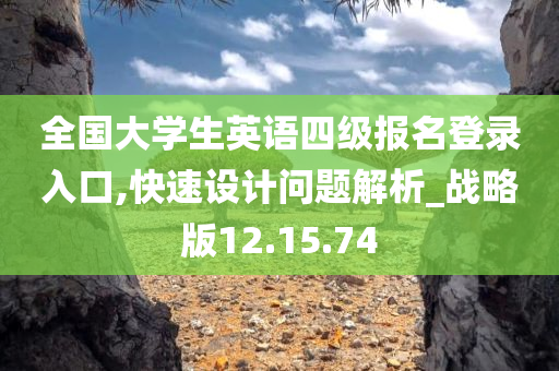 全国大学生英语四级报名登录入口,快速设计问题解析_战略版12.15.74