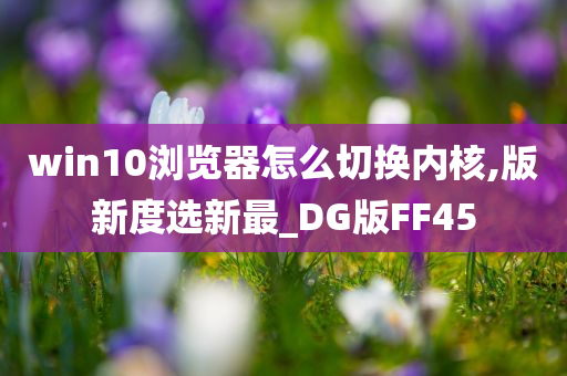 win10浏览器怎么切换内核,版新度选新最_DG版FF45