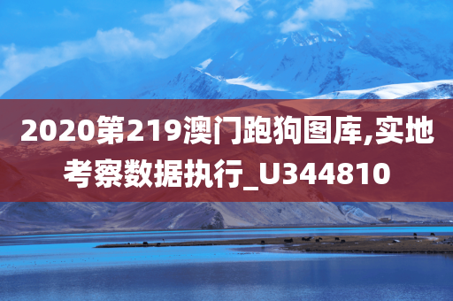 2020第219澳门跑狗图库,实地考察数据执行_U344810