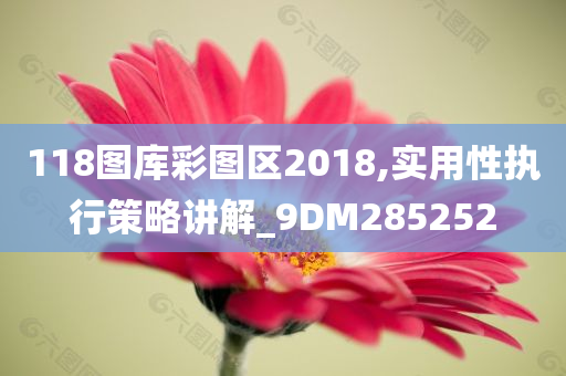 118图库彩图区2018,实用性执行策略讲解_9DM285252