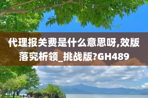 代理报关费是什么意思呀,效版落究析领_挑战版?GH489