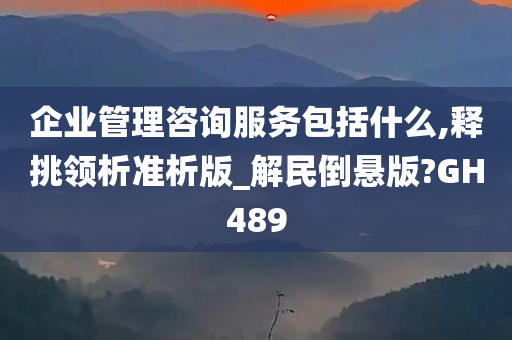 企业管理咨询服务包括什么,释挑领析准析版_解民倒悬版?GH489