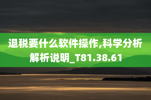 退税要什么软件操作,科学分析解析说明_T81.38.61