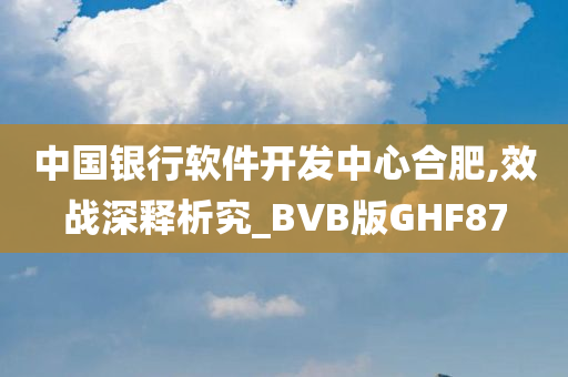 中国银行软件开发中心合肥,效战深释析究_BVB版GHF87