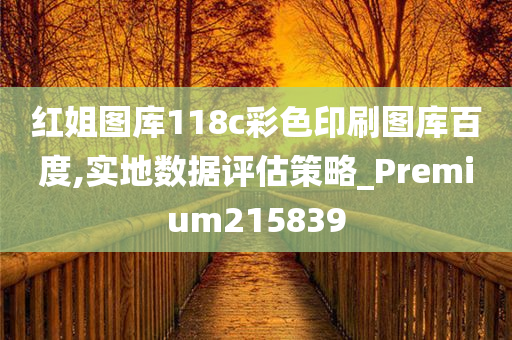 红姐图库118c彩色印刷图库百度,实地数据评估策略_Premium215839