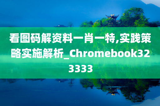 看图码解资料一肖一特,实践策略实施解析_Chromebook323333