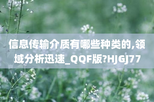 信息传输介质有哪些种类的,领域分析迅速_QQF版?HJGJ77