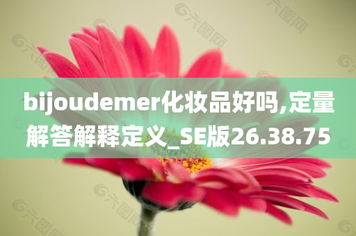 bijoudemer化妆品好吗,定量解答解释定义_SE版26.38.75