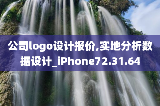 公司logo设计报价,实地分析数据设计_iPhone72.31.64