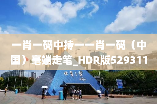 一肖一码中持一一肖一码（中国）毫端走笔_HDR版529311