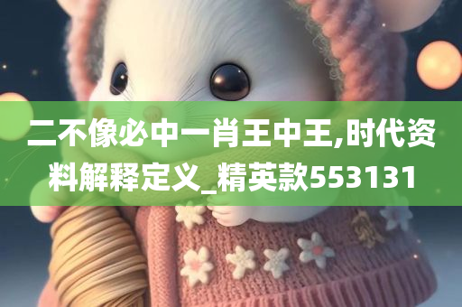 二不像必中一肖王中王,时代资料解释定义_精英款553131