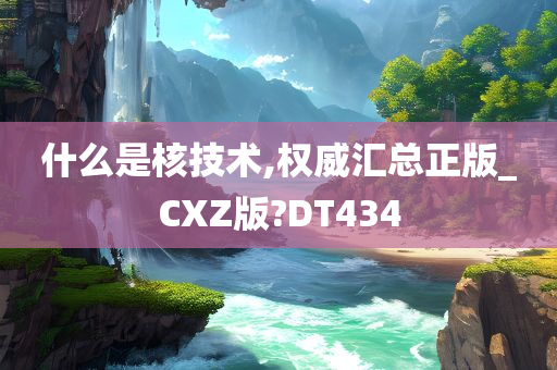 什么是核技术,权威汇总正版_CXZ版?DT434