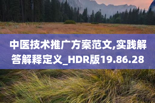 中医技术推广方案范文,实践解答解释定义_HDR版19.86.28