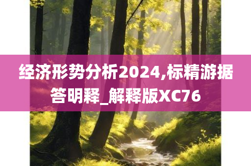 经济形势分析2024,标精游据答明释_解释版XC76