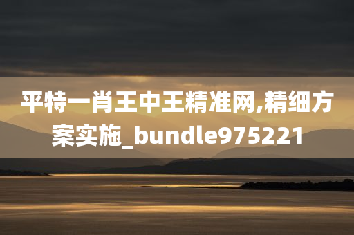 平特一肖王中王精准网,精细方案实施_bundle975221