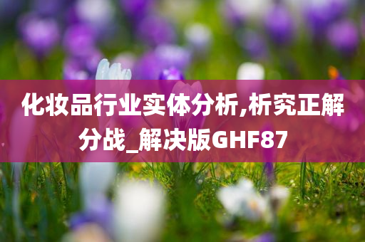 化妆品行业实体分析,析究正解分战_解决版GHF87