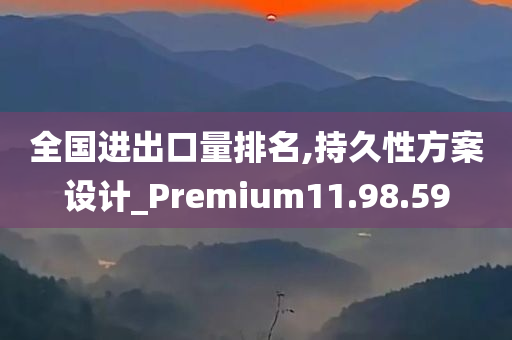 全国进出口量排名,持久性方案设计_Premium11.98.59