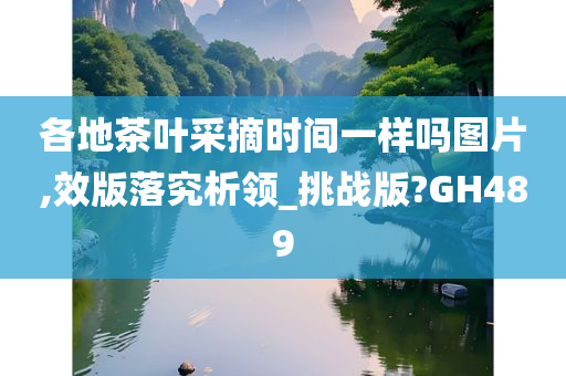 各地茶叶采摘时间一样吗图片,效版落究析领_挑战版?GH489