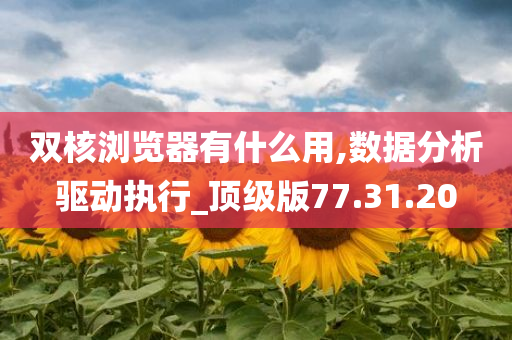 双核浏览器有什么用,数据分析驱动执行_顶级版77.31.20