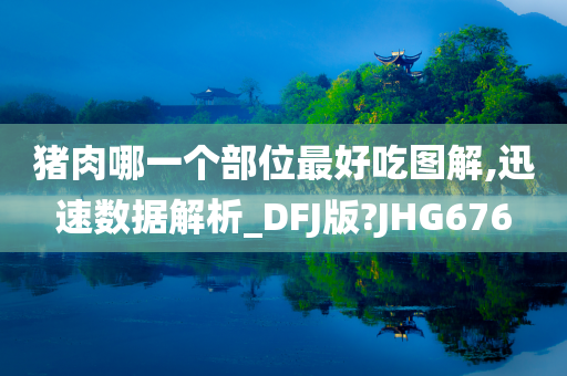 猪肉哪一个部位最好吃图解,迅速数据解析_DFJ版?JHG676