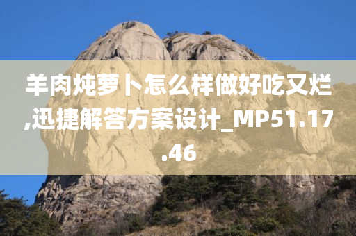 羊肉炖萝卜怎么样做好吃又烂,迅捷解答方案设计_MP51.17.46