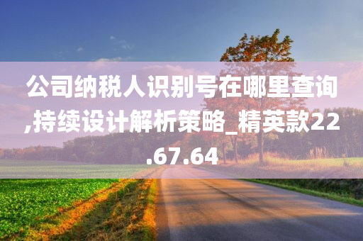 公司纳税人识别号在哪里查询,持续设计解析策略_精英款22.67.64