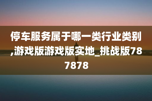 停车服务属于哪一类行业类别,游戏版游戏版实地_挑战版787878