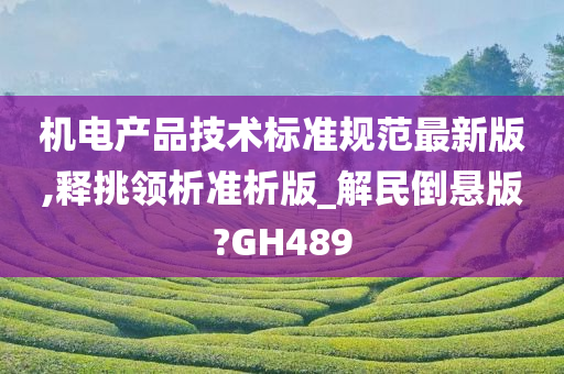 机电产品技术标准规范最新版,释挑领析准析版_解民倒悬版?GH489