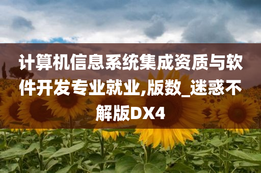 计算机信息系统集成资质与软件开发专业就业,版数_迷惑不解版DX4