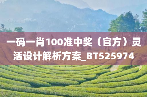 一码一肖100准中奖（官方）灵活设计解析方案_BT525974