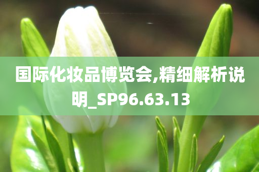 国际化妆品博览会,精细解析说明_SP96.63.13