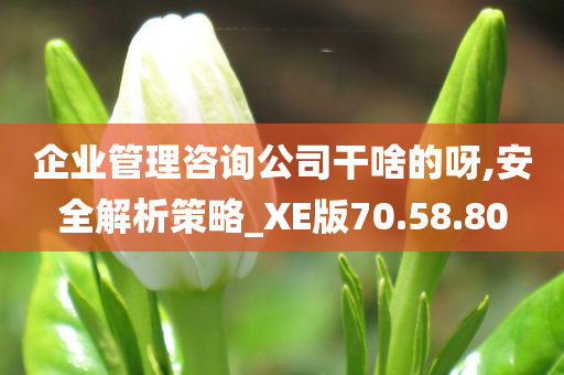 企业管理咨询公司干啥的呀,安全解析策略_XE版70.58.80