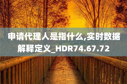 申请代理人是指什么,实时数据解释定义_HDR74.67.72